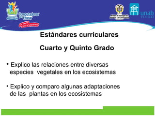 Estándares curriculares Cuarto y Quinto Grado Explico las relaciones entre diversas especies  vegetales en los ecosistemas Explico y comparo algunas adaptaciones de las  plantas en los ecosistemas 