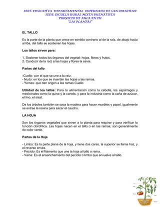 INST. EDUCATIVA DEPARTAMENTAL EXTERNADO DE SAN SEBASTIAN
             SEDE: ESCUELA RURAL MIXTA BUENAVISTA
                     PROYECTO DE AULA EN TIC
                          “LAS PLANTAS”



EL TALLO

Es la parte de la planta que crece en sentido contrario al de la raíz, de abajo hacia
arriba, del tallo se sostienen las hojas.

Los tallos sirven para:

1. Sostener todos los órganos del vegetal: hojas, flores y frutos.
2. Conducir de la raíz a las hojas y flores la savia.

Partes del tallo

-Cuello: con el que se une a la raíz.
- Nudo: en los que se insertan las hojas y las ramas.
- Yemas: que dan origen a las ramas Cuello

Utilidad de los tallos: Para la alimentación como la cebolla, los espárragos y
medicinales como la quina y la canela, y para la industria como la caña de azúcar,
el lino, el sisal.

De los árboles también se saca la madera para hacer muebles y papel, igualmente
se extrae la resina para sacar el caucho.

LA HOJA

Son los órganos vegetales que sirven a la planta para respirar y para verificar la
función clorofílica. Las hojas nacen en el tallo o en las ramas; son generalmente
de color verde.

Partes de la Hoja

- Limbo: Es la parte plana de la hoja, y tiene dos caras, la superior se llama haz, y
el reverso envés.
- Pecíolo: Es el filamento que une la hoja al tallo o rama.
- Vaina: Es el ensanchamiento del pecíolo o limbo que envuelve al tallo.
 