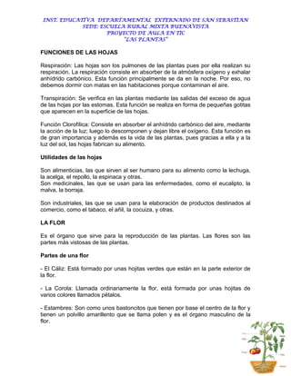 INST. EDUCATIVA DEPARTAMENTAL EXTERNADO DE SAN SEBASTIAN
            SEDE: ESCUELA RURAL MIXTA BUENAVISTA
                    PROYECTO DE AULA EN TIC
                         “LAS PLANTAS”

FUNCIONES DE LAS HOJAS

Respiración: Las hojas son los pulmones de las plantas pues por ella realizan su
respiración. La respiración consiste en absorber de la atmósfera oxígeno y exhalar
anhídrido carbónico. Esta función principalmente se da en la noche. Por eso, no
debemos dormir con matas en las habitaciones porque contaminan el aire.

Transpiración: Se verifica en las plantas mediante las salidas del exceso de agua
de las hojas por las estomas. Esta función se realiza en forma de pequeñas gotitas
que aparecen en la superficie de las hojas.

Función Clorofílica: Consiste en absorber el anhídrido carbónico del aire, mediante
la acción de la luz; luego lo descomponen y dejan libre el oxígeno. Esta función es
de gran importancia y además es la vida de las plantas, pues gracias a ella y a la
luz del sol, las hojas fabrican su alimento.

Utilidades de las hojas

Son alimenticias, las que sirven al ser humano para su alimento como la lechuga,
la acelga, el repollo, la espinaca y otras.
Son medicinales, las que se usan para las enfermedades, como el eucalipto, la
malva, la borraja.

Son industriales, las que se usan para la elaboración de productos destinados al
comercio, como el tabaco, el añil, la cocuiza, y otras.

LA FLOR

Es el órgano que sirve para la reproducción de las plantas. Las flores son las
partes más vistosas de las plantas.

Partes de una flor

- El Cáliz: Está formado por unas hojitas verdes que están en la parte exterior de
la flor.

- La Corola: Llamada ordinariamente la flor, está formada por unas hojitas de
varios colores llamados pétalos.

- Estambres: Son como unos bastoncitos que tienen por base el centro de la flor y
tienen un polvillo amarillento que se llama polen y es el órgano masculino de la
flor.
 
