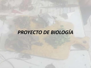 PROYECTO DE BIOLOGÍA

 