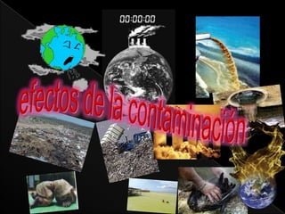 efectos de la contaminación       