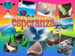 esperanza...