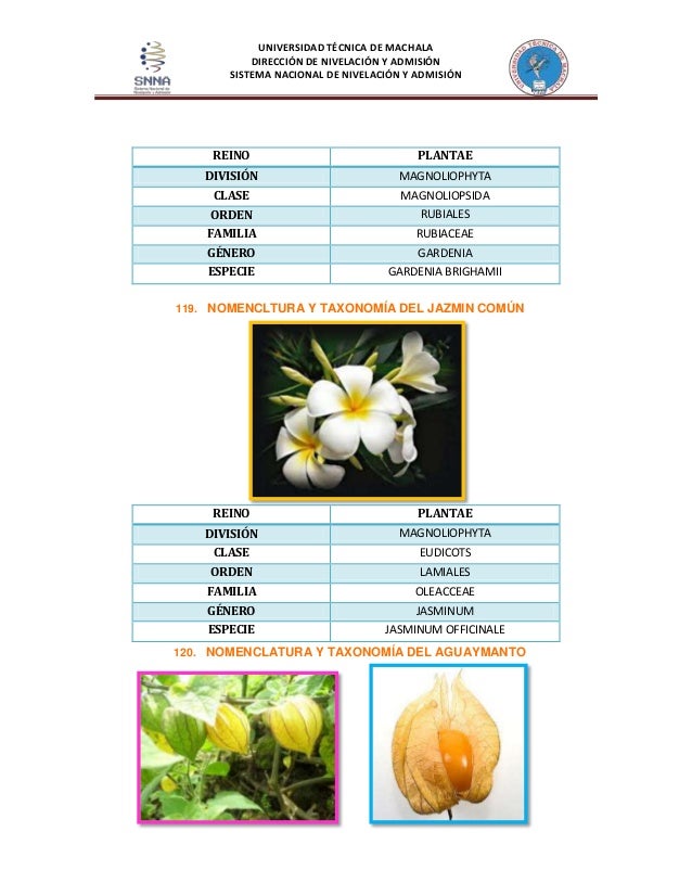 Proyecto de biologia