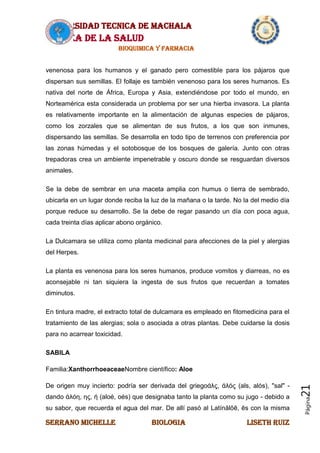 UNIVERSIDAD TECNICA DE MACHALA
AREA DE LA SALUD
BIOQUIMICA Y FARMACIA
SERRANO MICHELLE BIOLOGIA LISETH RUIZ
Página21
venenosa para los humanos y el ganado pero comestible para los pájaros que
dispersan sus semillas. El follaje es también venenoso para los seres humanos. Es
nativa del norte de África, Europa y Asia, extendiéndose por todo el mundo, en
Norteamérica esta considerada un problema por ser una hierba invasora. La planta
es relativamente importante en la alimentación de algunas especies de pájaros,
como los zorzales que se alimentan de sus frutos, a los que son inmunes,
dispersando las semillas. Se desarrolla en todo tipo de terrenos con preferencia por
las zonas húmedas y el sotobosque de los bosques de galería. Junto con otras
trepadoras crea un ambiente impenetrable y oscuro donde se resguardan diversos
animales.
Se la debe de sembrar en una maceta amplia con humus o tierra de sembrado,
ubicarla en un lugar donde reciba la luz de la mañana o la tarde. No la del medio día
porque reduce su desarrollo. Se la debe de regar pasando un día con poca agua,
cada treinta días aplicar abono orgánico.
La Dulcamara se utiliza como planta medicinal para afecciones de la piel y alergias
del Herpes.
La planta es venenosa para los seres humanos, produce vomitos y diarreas, no es
aconsejable ni tan siquiera la ingesta de sus frutos que recuerdan a tomates
diminutos.
En tintura madre, el extracto total de dulcamara es empleado en fitomedicina para el
tratamiento de las alergias; sola o asociada a otras plantas. Debe cuidarse la dosis
para no acarrear toxicidad.
SABILA
Familia:XanthorrhoeaceaeNombre científico: Aloe
De origen muy incierto: podría ser derivada del griegoάλς, άλός (als, alós), "sal" -
dando άλόη, ης, ή (aloé, oés) que designaba tanto la planta como su jugo - debido a
su sabor, que recuerda el agua del mar. De allí pasó al Latínălŏē, ēs con la misma
 