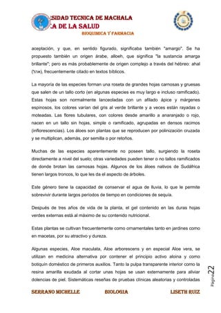 UNIVERSIDAD TECNICA DE MACHALA
AREA DE LA SALUD
BIOQUIMICA Y FARMACIA
SERRANO MICHELLE BIOLOGIA LISETH RUIZ
Página22
aceptación, y que, en sentido figurado, significaba también "amargo". Se ha
propuesto también un origen árabe, alloeh, que significa "la sustancia amarga
brillante"; pero es más probablemente de origen complejo a través del hébreo: ahal
(‫,)אהל‬ frecuentemente citado en textos bíblicos.
La mayoría de las especies forman una roseta de grandes hojas carnosas y gruesas
que salen de un tallo corto (en algunas especies es muy largo e incluso ramificado).
Estas hojas son normalmente lanceoladas con un afilado ápice y márgenes
espinosos, los colores varían del gris al verde brillante y a veces están rayadas o
moteadas. Las flores tubulares, con colores desde amarillo a anaranjado o rojo,
nacen en un tallo sin hojas, simple o ramificado, agrupadas en densos racimos
(inflorescencias). Los áloes son plantas que se reproducen por polinización cruzada
y se multiplican, además, por semilla o por retoños.
Muchas de las especies aparentemente no poseen tallo, surgiendo la roseta
directamente a nivel del suelo; otras variedades pueden tener o no tallos ramificados
de donde brotan las carnosas hojas. Algunos de los áloes nativos de Sudáfrica
tienen largos troncos, lo que les da el aspecto de árboles.
Este género tiene la capacidad de conservar el agua de lluvia, lo que le permite
sobrevivir durante largos períodos de tiempo en condiciones de sequía.
Después de tres años de vida de la planta, el gel contenido en las duras hojas
verdes externas está al máximo de su contenido nutricional.
Estas plantas se cultivan frecuentemente como ornamentales tanto en jardines como
en macetas, por su atractivo y dureza.
Algunas especies, Aloe maculata, Aloe arborescens y en especial Aloe vera, se
utilizan en medicina alternativa por contener el principio activo aloina y como
botiquín doméstico de primeros auxilios. Tanto la pulpa transparente interior como la
resina amarilla exudada al cortar unas hojas se usan externamente para aliviar
dolencias de piel. Sistemáticas reseñas de pruebas clínicas aleatorias y controladas
 