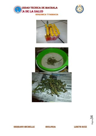 UNIVERSIDAD TECNICA DE MACHALA
AREA DE LA SALUD
BIOQUIMICA Y FARMACIA
SERRANO MICHELLE BIOLOGIA LISETH RUIZ
Página34
 