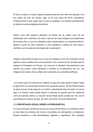 Si bien su origen es incierto, algunas fuentes sostienen que viene del Cáucaso o de
las costas del mar del Caspio, lugar en el cual crece de forma espontánea.
Posteriormente lo que queda claro es que se propagó y se aclimató perfectamente
en todas las zonas templadas del planeta.

Existen unas 250 especies diferentes de Rosas de las cuales unas 30 son
clasificadas como odoratas y tan solo 3, que son las rosas antiguas, las progenitoras
de muchas otras, y que son cultivadas a gran escala debido a su exquisito perfume.
Desde el punto de vista medicinal, la rosa castellana y laRosa de cien hojas o
centifolia, son las especies más dignas de consideración.

Antiguos manuscritos revelan que la rosa era utilizada en los ritos funerarios de los
egipcios y otros pueblos de la era precristiana. Fue a través del sur de Italia que los
griegos la introdujeron en Europa. Los romanos la utilizaban frecuentemente para
adornar sus puertas, hacer alfombras o incluirlas en la elaboración del vino. Las
imágenes de Cupido, Venus y Baco eran coronadas con guirnaldas deRosas.

Los turcos fueron los primeros en elaborar el agua de rosas desde el siglo X hasta
el siglo XVIII, lo cual describe Avicena de la siguiente manera: “De las Rosas frescas
se saca el zumo de las hojas en un mortero y exprimiendo todo el líquido: el cual se
deja a la sombra, hasta queda espeso y entonces se guarda para las medicinas
como por ejemplo colirios. La solución de las Rosas secas cocidas con vino, es útil
para dolores de cabeza, de ojos, de oídos, de encías, del recto intestinal etc.
1.1.2 IMPORTANCIA SOCIAL SOBRE LA PROBLEMÁTICA.
La rosa es de gran importancia ya que es la reina de las flores y es símbolo de amor
en casi todas las naciones del mundo. Los pétalos son astringentes y antisépticos.
Prestan beneficios a nivel dermatológico, digestivo y respiratorio. Son utilizados

11

 