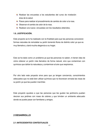 Realizar las encuestas a los estudiantes del curso de nivelación
área de la salud.
Pasos para realizar el procedimiento de cambio de color a la rosa.
Observar el cambio de color de la rosa.
Realizar una nueva encuestas con los resultados obtenidos.
1.6. JUSTIFICACIÓN.
Este proyecto se lo ha realizado con la finalidad para que las personas conocieran
formas naturales de remodelar su jardín teniendo flores de distinto color ya que es
muy llamativo y dará mucha elegancia a su hogar.

Esto se ha dado como un problema ya que las personas no saben, ni tienen idea de
cómo obtener un jardín más llamativo de forma natural, sino que contaminan con
químicos que dañan la naturaleza y contaminan el aire que respiramos.

Por otro lado este proyecto sirve para que ya tengan conciencia, conocimientos
adecuados que no está bien utilizar químicos que no favorecen ennada las rosas de
su jardín ya que las pueden marchitar.

Este proyecto ayudara a que las personas que les gustan las jardinería puedan
decorar sus jardines con rosas de colores y que brinden un ambiente adecuado
donde se puede pasar con familiares y amigos.

2 DESARROLLO
2.1 ANTECEDENTES CONTEXTUALES
15

 