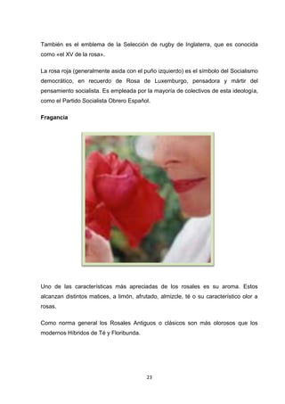 También es el emblema de la Selección de rugby de Inglaterra, que es conocida
como «el XV de la rosa».
La rosa roja (generalmente asida con el puño izquierdo) es el símbolo del Socialismo
democrático, en recuerdo de Rosa de Luxemburgo, pensadora y mártir del
pensamiento socialista. Es empleada por la mayoría de colectivos de esta ideología,
como el Partido Socialista Obrero Español.
Fragancia

Uno de las características más apreciadas de los rosales es su aroma. Estos
alcanzan distintos matices, a limón, afrutado, almizcle, té o su característico olor a
rosas.
Como norma general los Rosales Antiguos o clásicos son más olorosos que los
modernos Híbridos de Té y Floribunda.

23

 