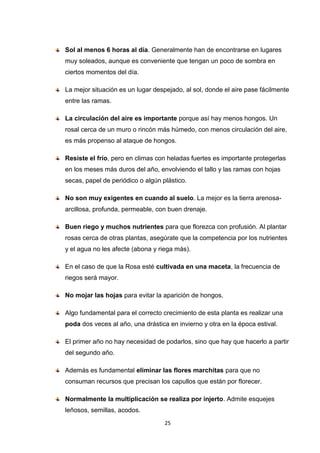 Sol al menos 6 horas al día. Generalmente han de encontrarse en lugares
muy soleados, aunque es conveniente que tengan un poco de sombra en
ciertos momentos del día.
La mejor situación es un lugar despejado, al sol, donde el aire pase fácilmente
entre las ramas.
La circulación del aire es importante porque así hay menos hongos. Un
rosal cerca de un muro o rincón más húmedo, con menos circulación del aire,
es más propenso al ataque de hongos.
Resiste el frío, pero en climas con heladas fuertes es importante protegerlas
en los meses más duros del año, envolviendo el tallo y las ramas con hojas
secas, papel de periódico o algún plástico.
No son muy exigentes en cuando al suelo. La mejor es la tierra arenosaarcillosa, profunda, permeable, con buen drenaje.
Buen riego y muchos nutrientes para que florezca con profusión. Al plantar
rosas cerca de otras plantas, asegúrate que la competencia por los nutrientes
y el agua no les afecte (abona y riega más).
En el caso de que la Rosa esté cultivada en una maceta, la frecuencia de
riegos será mayor.
No mojar las hojas para evitar la aparición de hongos.
Algo fundamental para el correcto crecimiento de esta planta es realizar una
poda dos veces al año, una drástica en invierno y otra en la época estival.
El primer año no hay necesidad de podarlos, sino que hay que hacerlo a partir
del segundo año.
Además es fundamental eliminar las flores marchitas para que no
consuman recursos que precisan los capullos que están por florecer.
Normalmente la multiplicación se realiza por injerto. Admite esquejes
leñosos, semillas, acodos.
25

 