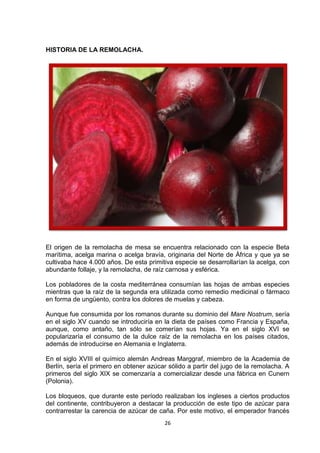 HISTORIA DE LA REMOLACHA.

El origen de la remolacha de mesa se encuentra relacionado con la especie Beta
marítima, acelga marina o acelga bravía, originaria del Norte de África y que ya se
cultivaba hace 4.000 años. De esta primitiva especie se desarrollarían la acelga, con
abundante follaje, y la remolacha, de raíz carnosa y esférica.
Los pobladores de la costa mediterránea consumían las hojas de ambas especies
mientras que la raíz de la segunda era utilizada como remedio medicinal o fármaco
en forma de ungüento, contra los dolores de muelas y cabeza.
Aunque fue consumida por los romanos durante su dominio del Mare Nostrum, sería
en el siglo XV cuando se introduciría en la dieta de países como Francia y España,
aunque, como antaño, tan sólo se comerían sus hojas. Ya en el siglo XVI se
popularizaría el consumo de la dulce raíz de la remolacha en los países citados,
además de introducirse en Alemania e Inglaterra.
En el siglo XVIII el químico alemán Andreas Marggraf, miembro de la Academia de
Berlín, sería el primero en obtener azúcar sólido a partir del jugo de la remolacha. A
primeros del siglo XIX se comenzaría a comercializar desde una fábrica en Cunern
(Polonia).
Los bloqueos, que durante este período realizaban los ingleses a ciertos productos
del continente, contribuyeron a destacar la producción de este tipo de azúcar para
contrarrestar la carencia de azúcar de caña. Por este motivo, el emperador francés
26

 