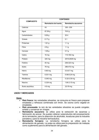 CONTENIDO
COMPUESTO
Remolacha de huerta

Remolacha azucarera

Calorías

43

336 –339

Agua

87.58 g

76.6 g

Carbohidratos

9.56 g

20.4

Grasas

0.17 g

0.1

Proteínas

1.61 g

1.1 g

Fibra

2.8 g

1.1 g

Cenizas

1.08 g

0.7 g

Calcio

16 mg

115-182 mg

Potasio

325 mg

2619-2638 mg

Fósforo

40 mg

259-323 mg

Sodio

78 mg

286-472 mg

Hierro

0.80 mg

5.5-8.7 mg

Tiamina

0.031 mg

0.08-0.24 mg

Riboflavina

0.040 mg

0.32-0.39 mg

Niacina

0.334 mg

1.64-3.15 mg

Ácido ascórbico

4.9 mg

23-79 mg

USOS Y MERCADOS
Usos:
Raíz fresca: las variedades silvestres, se consume en fresco para preparar
ensaladas y refrescos combinada con limón. Se cocina como vegetal en
ensaladas.
Raíz procesada: la raíz de las variedades silvestres se puede congelar,
enlatar y conservar en vinagre.
Remolacha azucarera: se utiliza para la extracción de sacarosa y
fabricación de azúcar. Se pueden obtener subproductos del procesamiento
de la remolacha, para la obtención de alcoholes, levaduras para la industria
panadera y para la industria farmacéutica.
Remolacha forrajera: La remolacha forrajera se utiliza para la
alimentación de ganado. La pulpa se utiliza para la preparación de melazas
como suplemento para la alimentación del ganado.
28

 