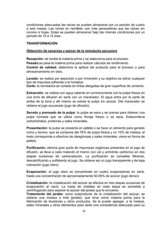 condiciones adecuadas las raíces se pueden almacenar por un periodo de cuatro
a seis meses. Las raíces en ramillete, son más perecederas que las raíces sin
corona ni hojas. Estas se pueden almacenar bajo las mismas condiciones por un
periodo de 10 a 14 días.
TRANSFORMACIÓN
Obtención de sacarosa y azúcar de la remolacha azucarera
Recepción: se recibe la materia prima y se selecciona para el proceso.
Pesado:se pesa la materia prima para realizar cálculos de rendimiento.
Control de calidad: determina la aptitud del producto para el proceso o para
almacenamiento en silos.
Lavado: se realiza por aspersión o por inmersión y su objetivo es retirar cualquier
tipo de impureza adherida a la hortaliza.
Corte: la remolacha es cortada en tiritas alargadas de gran superficie de contacto.
Extracción: se realiza con agua caliente en contracorriente con la pulpa fresca en
una torre de difusión en serie con un macerador. El agua entra por la parte de
arriba de la torre y allí mismo se extrae la pulpa sin azúcar. Del macerador se
obtiene el jugo azucarado (jugo de difusión).
Secado y prensado de la pulpa: la pulpa se seca y se prensa para obtener una
pulpa húmeda que se utiliza como forraje fresco o se seca. Estacontiene
carbohidratos, proteínas y sales minerales.
Presentación: la pulpa se presenta en pellets o se hace un alimento para ganado
ovino y bovino, que se compone del 76% de pulpa fresca y un 10% de melaza, el
resto corresponde a afrechos de oleaginosas y sales minerales, viene en forma de
pellets.
Purificación: elimina gran parte de impurezas orgánicas presentes en el jugo de
difusión, se lleva a cabo tratando el mismo con cal y anhídrido carbónico en dos
etapas sucesivas de carbonatación. La purificación se completa filtrando,
descalcificando y sulfatando el jugo. Se obtiene así un jugo transparente y de baja
coloración (jugo claro).
Evaporación: el jugo claro es concentrado en cuatro evaporadores en serie,
hasta una concentración de aproximadamente 50-55% de azúcar (jugo denso).
Cristalización: la cristalización del azúcar se efectúa en tres etapas sucesivas de
evaporación al vacío. La masa de cristales en cada etapa es sometida a
centrifugación para separar el azúcar del jarabe que lo envuelve.
Tratamiento del jarabe: como subproducto de la cristalización del azúcar, se
obtiene una melaza o miel (jarabe), que sirve como materia prima para la
fabricación de levaduras y otros productos. Se le puede agregar, a la melaza,
sales minerales y otros elementos para darle una consistencia adecuada para su
32

 