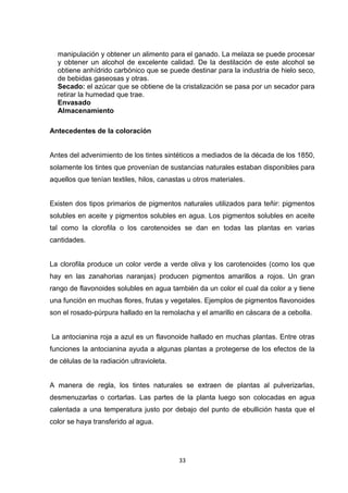 manipulación y obtener un alimento para el ganado. La melaza se puede procesar
y obtener un alcohol de excelente calidad. De la destilación de este alcohol se
obtiene anhídrido carbónico que se puede destinar para la industria de hielo seco,
de bebidas gaseosas y otras.
Secado: el azúcar que se obtiene de la cristalización se pasa por un secador para
retirar la humedad que trae.
Envasado
Almacenamiento
Antecedentes de la coloración

Antes del advenimiento de los tintes sintéticos a mediados de la década de los 1850,
solamente los tintes que provenían de sustancias naturales estaban disponibles para
aquellos que tenían textiles, hilos, canastas u otros materiales.

Existen dos tipos primarios de pigmentos naturales utilizados para teñir: pigmentos
solubles en aceite y pigmentos solubles en agua. Los pigmentos solubles en aceite
tal como la clorofila o los carotenoides se dan en todas las plantas en varias
cantidades.

La clorofila produce un color verde a verde oliva y los carotenoides (como los que
hay en las zanahorias naranjas) producen pigmentos amarillos a rojos. Un gran
rango de flavonoides solubles en agua también da un color el cual da color a y tiene
una función en muchas flores, frutas y vegetales. Ejemplos de pigmentos flavonoides
son el rosado-púrpura hallado en la remolacha y el amarillo en cáscara de a cebolla.

La antocianina roja a azul es un flavonoide hallado en muchas plantas. Entre otras
funciones la antocianina ayuda a algunas plantas a protegerse de los efectos de la
de células de la radiación ultravioleta.

A manera de regla, los tintes naturales se extraen de plantas al pulverizarlas,
desmenuzarlas o cortarlas. Las partes de la planta luego son colocadas en agua
calentada a una temperatura justo por debajo del punto de ebullición hasta que el
color se haya transferido al agua.

33

 