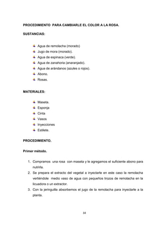 PROCEDIMIENTO PARA CAMBIARLE EL COLOR A LA ROSA.
SUSTANCIAS:

Agua de remolacha (morado)
Jugo de mora (morado).
Agua de espinaca (verde).
Agua de zanahoria (anaranjado).
Agua de arándanos (azules o rojos).
Abono.
Rosas.

MATERIALES:
Maseta.
Esponja
Cinta
Vasos
Inyecciones
Estilete.
PROCEDIMIENTO.
Primer método.
1. Compramos una rosa con maseta y le agregamos el suficiente abono para
nutrirla.
2. Se prepara el extracto del vegetal a inyectarle en este caso la remolacha
vertiéndole medio vaso de agua con pequeños trozos de remolacha en la
licuadora o un extractor.
3. Con la jeringuilla absorbemos el jugo de la remolacha para inyectarle a la
planta.

34

 