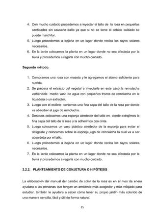 4. Con mucho cuidado procedemos a inyectar el tallo de la rosa en pequeñas
cantidades sin causarle daño ya que si no se tiene el debido cuidado se
puede marchitar.
5. Luego procedemos a dejarla en un lugar donde reciba los rayos solares
necesarios.
6. En la tarde colocamos la planta en un lugar donde no sea afectada por la
lluvia y procedemos a regarla con mucho cuidado.
Segundo método.
1. Compramos una rosa con maseta y le agregamos el abono suficiente para
nutrirla.
2. Se prepara el extracto del vegetal a inyectarle en este caso la remolacha
vertiéndole medio vaso de agua con pequeños trozos de remolacha en la
licuadora o un extractor.
3. Luego con el estilete cortamos una fina capa del tallo de la rosa por donde
va absorber el jugo de remolacha.
4. Después colocamos una esponja alrededor del tallo en donde extrajimos la
fina capa del tallo de la rosa y la adherimos con cinta.
5. Luego colocamos un vaso plástico alrededor de la esponja para evitar el
desgaste y colocamos sobre la esponja jugo de remolacha la cual va a ser
absorbida por el tallo.
6. Luego procedemos a dejarla en un lugar donde reciba los rayos solares
necesarios.
7. En la tarde colocamos la planta en un lugar donde no sea afectada por la
lluvia y procedemos a regarla con mucho cuidado.
2.2.2. PLANTEAMIENTO DE CONJETURA O HIPÓTESIS

La elaboración del manual del cambio de color de la rosa es en el mes de enero
ayudara a las personas que tengan un ambiente más acogedor y más relajado para
estudiar, también le ayudara a saber cómo tener su propio jardín más colorido de
una manera sencilla, fácil y útil de forma natural.
35

 