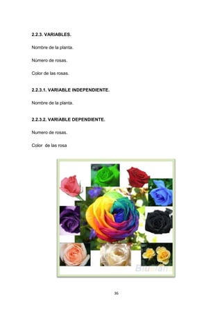 2.2.3. VARIABLES.
Nombre de la planta.
Número de rosas.
Color de las rosas.

2.2.3.1. VARIABLE INDEPENDIENTE.
Nombre de la planta.

2.2.3.2. VARIABLE DEPENDIENTE.
Numero de rosas.
Color de las rosa

36

 