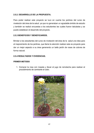 2.5.2. DESARROLLO DE LA PROPUESTA.
Para poder realizar este proyecto se tuvo en cuenta los jardines del curso de
nivelación del área de la salud ya que no generaban un agradable ámbito de estudio
y también se realizó encuestas a los estudiantes las cuales fueron tabuladas y se
puedo establecer el desarrollo del proyecto.
2.5.3 BENEFICIOS Y BENEFICIARIOS.
Brindar a los estudiantes del curso de nivelación del área de la salud una idea para
el mejoramiento de los jardines, que llame la atención realizar este es proyecto para
dar un mejor aspecto a su área generando un bello jardín de rosas de colores de
forma natural.
2.5.4 RESULTADOS Y EVIDENCIAS.
PRIMER METODO
1. Comprar la rosa con maseta y llevar el jugo de remolacha para realizar el
procedimiento de cambiarle el color.

47

 