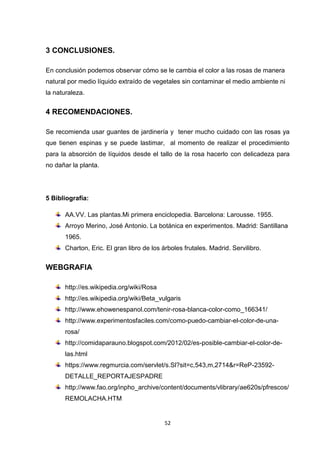 3 CONCLUSIONES.
En conclusión podemos observar cómo se le cambia el color a las rosas de manera
natural por medio líquido extraído de vegetales sin contaminar el medio ambiente ni
la naturaleza.

4 RECOMENDACIONES.
Se recomienda usar guantes de jardinería y tener mucho cuidado con las rosas ya
que tienen espinas y se puede lastimar, al momento de realizar el procedimiento
para la absorción de líquidos desde el tallo de la rosa hacerlo con delicadeza para
no dañar la planta.

5 Bibliografía:
AA.VV. Las plantas.Mi primera enciclopedia. Barcelona: Larousse. 1955.
Arroyo Merino, José Antonio. La botánica en experimentos. Madrid: Santillana
1965.
Charton, Eric. El gran libro de los árboles frutales. Madrid. Servilibro.

WEBGRAFIA
http://es.wikipedia.org/wiki/Rosa
http://es.wikipedia.org/wiki/Beta_vulgaris
http://www.ehowenespanol.com/tenir-rosa-blanca-color-como_166341/
http://www.experimentosfaciles.com/como-puedo-cambiar-el-color-de-unarosa/
http://comidaparauno.blogspot.com/2012/02/es-posible-cambiar-el-color-delas.html
https://www.regmurcia.com/servlet/s.Sl?sit=c,543,m,2714&r=ReP-23592DETALLE_REPORTAJESPADRE
http://www.fao.org/inpho_archive/content/documents/vlibrary/ae620s/pfrescos/
REMOLACHA.HTM

52

 