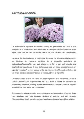 CONTENIDO CIENTIFICO.

La multinacional japonesa de bebidas Suntory ha presentado en Tokio la que
aseguran es la primera rosa azul del mundo, el santo grial de los horticultores. Para
lograr este hito se han necesitado cerca de dos décadas de investigación.

La nueva flor, bautizada con el nombre de Applause, ha sido desarrollada usando
las

técnicas

de

ingeniería

genética

de

la

compañía

australiana

de

biotecnologíaFlorigenePty Ltd., que añadió a la flor el gen del pimento azul
delphinidinde las petunias. El tono de la nueva rosa, un violeta azulado llamado en
japonés "murasaki", es muy popular entre los nipones. En el lenguaje victoriano de
las flores, las rosas azules simbolizan la consecución de lo imposible.

La rosa azul será puesta a la venta en Japón el próximo 3 de noviembre, Día de la
Cultura Japonesa, por un precio entre 14,7 y 22 euros la unidad. En los meses de
noviembre y diciembre, Suntory espera vender unas 6.000 rosas, y para el próximo
año el reto se sitúa en las 50.000 unidades.

El color azul propiamente dicho es poco frecuente en la naturaleza. Entre las flores
más populares con esta tonalidad destaca la amapola azul del Himalaya
(Meconopsishorridula), que sólo crece en las altas cumbres de la cordillera asiática.

55

 