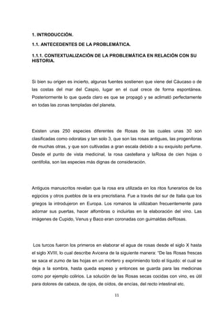 1. INTRODUCCIÓN.
1.1. ANTECEDENTES DE LA PROBLEMÁTICA.
1.1.1. CONTEXTUALIZACIÓN DE LA PROBLEMÁTICA EN RELACIÓN CON SU
HISTORIA.

Si bien su origen es incierto, algunas fuentes sostienen que viene del Cáucaso o de
las costas del mar del Caspio, lugar en el cual crece de forma espontánea.
Posteriormente lo que queda claro es que se propagó y se aclimató perfectamente
en todas las zonas templadas del planeta.

Existen unas 250 especies diferentes de Rosas de las cuales unas 30 son
clasificadas como odoratas y tan solo 3, que son las rosas antiguas, las progenitoras
de muchas otras, y que son cultivadas a gran escala debido a su exquisito perfume.
Desde el punto de vista medicinal, la rosa castellana y laRosa de cien hojas o
centifolia, son las especies más dignas de consideración.

Antiguos manuscritos revelan que la rosa era utilizada en los ritos funerarios de los
egipcios y otros pueblos de la era precristiana. Fue a través del sur de Italia que los
griegos la introdujeron en Europa. Los romanos la utilizaban frecuentemente para
adornar sus puertas, hacer alfombras o incluirlas en la elaboración del vino. Las
imágenes de Cupido, Venus y Baco eran coronadas con guirnaldas deRosas.

Los turcos fueron los primeros en elaborar el agua de rosas desde el siglo X hasta
el siglo XVIII, lo cual describe Avicena de la siguiente manera: “De las Rosas frescas
se saca el zumo de las hojas en un mortero y exprimiendo todo el líquido: el cual se
deja a la sombra, hasta queda espeso y entonces se guarda para las medicinas
como por ejemplo colirios. La solución de las Rosas secas cocidas con vino, es útil
para dolores de cabeza, de ojos, de oídos, de encías, del recto intestinal etc.
11

 