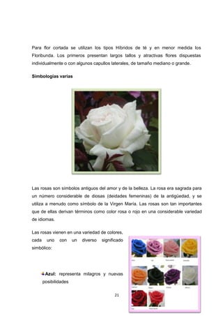 Para flor cortada se utilizan los tipos Híbridos de té y en menor medida los
Floribunda. Los primeros presentan largos tallos y atractivas flores dispuestas
individualmente o con algunos capullos laterales, de tamaño mediano o grande.
Simbologías varias

Las rosas son símbolos antiguos del amor y de la belleza. La rosa era sagrada para
un número considerable de diosas (deidades femeninas) de la antigüedad, y se
utiliza a menudo como símbolo de la Virgen María. Las rosas son tan importantes
que de ellas derivan términos como color rosa o rojo en una considerable variedad
de idiomas.
Las rosas vienen en una variedad de colores,
cada

uno

con

un

diverso

significado

simbólico:

Azul: representa milagros y nuevas
posibilidades
21

 