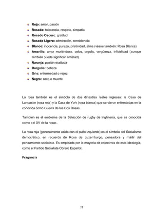 Rojo: amor, pasión
Rosado: tolerancia, respeto, simpatía
Rosado Oscuro: gratitud
Rosado Ligero: admiración, condolencia
Blanco: inocencia, pureza, pristinidad, alma (véase también: Rosa Blanca)
Amarillo: amor muriéndose, celos, orgullo, vergüenza, infidelidad (aunque
también puede significar amistad)
Naranja: pasión exaltada
Borgoña: belleza
Gris: enfermedad o vejez
Negro: sexo o muerte

La rosa también es el símbolo de dos dinastías reales inglesas: la Casa de
Lancaster (rosa roja) y la Casa de York (rosa blanca) que se vieron enfrentadas en la
conocida como Guerra de las Dos Rosas.
También es el emblema de la Selección de rugby de Inglaterra, que es conocida
como «el XV de la rosa».
La rosa roja (generalmente asida con el puño izquierdo) es el símbolo del Socialismo
democrático, en recuerdo de Rosa de Luxemburgo, pensadora y mártir del
pensamiento socialista. Es empleada por la mayoría de colectivos de esta ideología,
como el Partido Socialista Obrero Español.
Fragancia

22

 