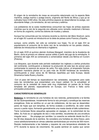 El origen de la remolacha de mesa se encuentra relacionado con la especie Beta
marítima, acelga marina o acelga bravía, originaria del Norte de África y que ya se
cultivaba hace 4.000 años. De esta primitiva especie se desarrollarían la acelga, con
abundante follaje, y la remolacha, de raíz carnosa y esférica.
Los pobladores de la costa mediterránea consumían las hojas de ambas especies
mientras que la raíz de la segunda era utilizada como remedio medicinal o fármaco
en forma de ungüento, contra los dolores de muelas y cabeza.
Aunque fue consumida por los romanos durante su dominio del Mare Nostrum, sería
en el siglo XV cuando se introduciría en la dieta de países como Francia y España,
aunque, como antaño, tan sólo se comerían sus hojas. Ya en el siglo XVI se
popularizaría el consumo de la dulce raíz de la remolacha en los países citados,
además de introducirse en Alemania e Inglaterra.
En el siglo XVIII el químico alemán Andreas Marggraf, miembro de la Academia de
Berlín, sería el primero en obtener azúcar sólido a partir del jugo de la remolacha. A
primeros del siglo XIX se comenzaría a comercializar desde una fábrica en Cunern
(Polonia).
Los bloqueos, que durante este período realizaban los ingleses a ciertos productos
del continente, contribuyeron a destacar la producción de este tipo de azúcar para
contrarrestar la carencia de azúcar de caña. Por este motivo, el emperador francés
Napoleón mandaría plantar en su país más de 30.000 hectáreas de remolacha,
contribuyendo a crear cerca de 40 fábricas repartidas por toda Europa, desde
Dinamarca hasta Rusia y Austria.
Con el paso del tiempo se especializaron las variedades, escogiendo para cada
caso las remolachas que presentaban una mayor calidad. En la actualidad, el
consumo de la variedad de mesa está muy implantado en países de la franja
templada del planeta, especialmente en Europa, con Francia e Italia como
principales productores.
CARACTERÍSTICAS GENERALES
Botánica: la remolacha es una hortaliza de raíz redonda, perteneciente a la familia
de las Quenopodiáceas. Inicialmente forma la raíz principal y constituye las reservas
energéticas. Esta se ramifica en un par de cotiledones, de los que se desarrollan
pares de hojas que son lampiñas, de forma ovalada a cordiforme, de color verde
oscuro o pardo rojizo, formando generalmente una roseta desde el tallo subterráneo.
Tiene numerosas flores pequeñas agrupadas en espigas, en la extremidad de los
tallos. Su fruto es un agregado de dos o más semillas, recubiertas de una envoltura
irregular seca.
Se propaga por semillas. La cosecha se extiende desde los 65 a
los 80 días después de la siembra. Se considera una hortaliza de clima fresco, pero
crece satisfactoriamente en climas calientes sembrándose por encima de 500 msnm.
Resiste medianamente a las heladas y requiere de una temperatura alrededor de
21ºC durante la época de crecimiento. Se puede sembrar en suelos que varían
26

 