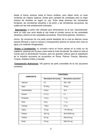 desde el franco arenoso hasta el franco arcilloso, pero deben tener un buen
contenido de materia orgánica. Existe gran cantidad de variedades pero la mejor
manera de dividirlas es según su uso. Entre estas tenemos las remolachas
forrajeras, las remolachas silvestres o de jardín y las remolachas azucareras, las
cuales son las más ampliamente cultivadas.
Descripción: la parte más utilizada para alimentación es la raíz. Generalmente,
tiene un color que varía desde el rojo hasta el morado oscuro en las variedades
silvestres y blanco en las variedades azucareras. Tiene forma globular, cilíndrica o
cónica. Se componen de una parte central alrededor de la cual se alternan zonas
opacas (fibrosas y ricas en azúcar) y transparentes (pobres en azúcar pero ricas en
agua y en materias nitrogenadas).
Origen y Localización: su ancestro crecía en forma salvaje en la costa sur de
Inglaterra, pasando por Europa y Asia hasta la India Occidental. Se cultiva en todo el
mundo para la alimentación humana, pero los grandes cultivos para la explotación
de la industria azucarera se encuentran en Rusia, Polonia, Francia, Alemania,
Turquía, Estados Unidos y Canadá.
Composición Nutricional: 100 gramos de parte comestible de la raíz azucarera
contienen:

CONTENIDO
COMPUESTO
Remolacha de huerta

Remolacha azucarera

Calorías

43

336 –339

Agua

87.58 g

76.6 g

Carbohidratos

9.56 g

20.4

Grasas

0.17 g

0.1

Proteínas

1.61 g

1.1 g

Fibra

2.8 g

1.1 g

Cenizas

1.08 g

0.7 g

Calcio

16 mg

115-182 mg

Potasio

325 mg

2619-2638 mg

Fósforo

40 mg

259-323 mg

Sodio

78 mg

286-472 mg

27

 