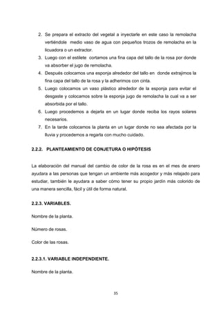 2. Se prepara el extracto del vegetal a inyectarle en este caso la remolacha
vertiéndole medio vaso de agua con pequeños trozos de remolacha en la
licuadora o un extractor.
3. Luego con el estilete cortamos una fina capa del tallo de la rosa por donde
va absorber el jugo de remolacha.
4. Después colocamos una esponja alrededor del tallo en donde extrajimos la
fina capa del tallo de la rosa y la adherimos con cinta.
5. Luego colocamos un vaso plástico alrededor de la esponja para evitar el
desgaste y colocamos sobre la esponja jugo de remolacha la cual va a ser
absorbida por el tallo.
6. Luego procedemos a dejarla en un lugar donde reciba los rayos solares
necesarios.
7. En la tarde colocamos la planta en un lugar donde no sea afectada por la
lluvia y procedemos a regarla con mucho cuidado.
2.2.2. PLANTEAMIENTO DE CONJETURA O HIPÓTESIS

La elaboración del manual del cambio de color de la rosa es en el mes de enero
ayudara a las personas que tengan un ambiente más acogedor y más relajado para
estudiar, también le ayudara a saber cómo tener su propio jardín más colorido de
una manera sencilla, fácil y útil de forma natural.
2.2.3. VARIABLES.
Nombre de la planta.
Número de rosas.
Color de las rosas.

2.2.3.1. VARIABLE INDEPENDIENTE.
Nombre de la planta.

35

 