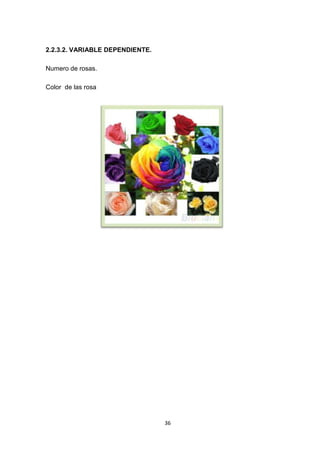 2.2.3.2. VARIABLE DEPENDIENTE.
Numero de rosas.
Color de las rosa

36

 