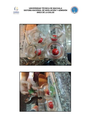 UNIVERSIDAD TÉCNICA DE MACHALA
SISTEMA NACIONAL DE NIVELACIÓN Y ADMISIÓN
AREA DE LA SALUD

 