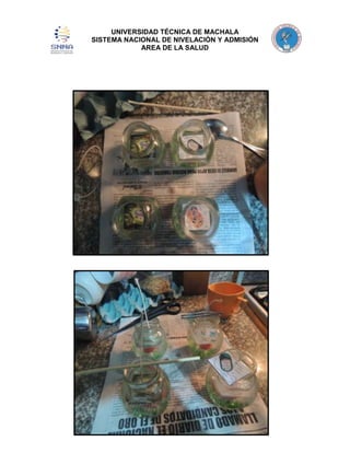 UNIVERSIDAD TÉCNICA DE MACHALA
SISTEMA NACIONAL DE NIVELACIÓN Y ADMISIÓN
AREA DE LA SALUD

 