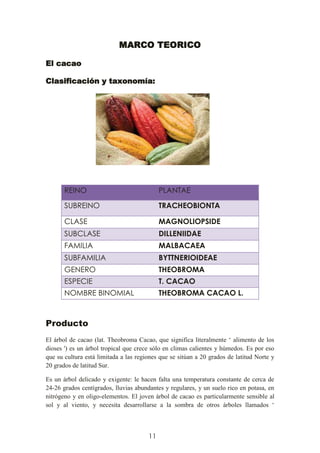 11
MARCO TEORICO
El cacao
Clasificación y taxonomía:
Producto
El árbol de cacao (lat. Theobroma Cacao, que significa literalmente „ alimento de los
dioses ') es un árbol tropical que crece sólo en climas calientes y húmedos. Es por eso
que su cultura está limitada a las regiones que se sitúan a 20 grados de latitud Norte y
20 grados de latitud Sur.
Es un árbol delicado y exigente: le hacen falta una temperatura constante de cerca de
24-26 grados centígrados, lluvias abundantes y regulares, y un suelo rico en potasa, en
nitrógeno y en oligo-elementos. El joven árbol de cacao es particularmente sensible al
sol y al viento, y necesita desarrollarse a la sombra de otros árboles llamados „
REINO PLANTAE
SUBREINO TRACHEOBIONTA
CLASE MAGNOLIOPSIDE
SUBCLASE DILLENIIDAE
FAMILIA MALBACAEA
SUBFAMILIA BYTTNERIOIDEAE
GENERO THEOBROMA
ESPECIE T. CACAO
NOMBRE BINOMIAL THEOBROMA CACAO L.
 