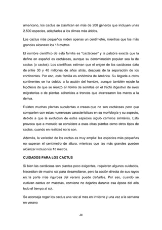 americano, los cactus se clasifican en más de 200 géneros que incluyen unas
2.500 especies, adaptadas a los climas más áridos.
Los cactus más pequeños miden apenas un centímetro, mientras que los más
grandes alcanzan los 18 metros
El nombre científico de esta familia es "cactaceae" y la palabra exacta que la
define en español es cactáceas, aunque su denominación popular sea la de
cactus (o cactos). Los científicos estiman que el origen de las cactáceas data
de entre 30 y 40 millones de años atrás, después de la separación de los
continentes. Por eso, esta familia es endémica de América. Su llegada a otros
continentes se ha debido a la acción del hombre, aunque también existe la
hipótesis de que se realizó en forma de semillas en el tracto digestivo de aves
migratorias o de plantas adheridas a troncos que atravesaron los mares a la
deriva.
Existen muchas plantas suculentas o crasas que no son cactáceas pero que
comparten con estas numerosas características en su morfología y su aspecto,
debido a que la evolución de estas especies siguió caminos similares. Esto
provoca que a menudo se considere a esas otras plantas como otros tipos de
cactus, cuando en realidad no lo son.
Además, la variedad de los cactus es muy amplia: las especies más pequeñas
no superan el centímetro de altura, mientras que las más grandes pueden
alcanzar incluso los 18 metros.
CUIDADOS PARA LOS CACTUS
Si bien las cactáceas son plantas poco exigentes, requieren algunos cuidados.
Necesitan de mucho sol para desarrollarse, pero la acción directa de sus rayos
en la parte más rigurosa del verano puede dañarlas. Por eso, cuando se
cultivan cactus en macetas, conviene no dejarlos durante esa época del año
todo el tiempo al sol.
Se aconseja regar los cactus una vez al mes en invierno y una vez a la semana
en verano

28

 