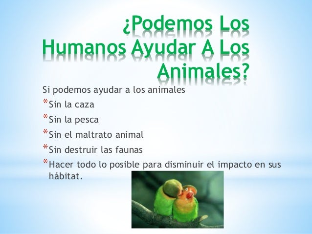 Resultado de imagen para como ayudar a los animales en peligro de extincion