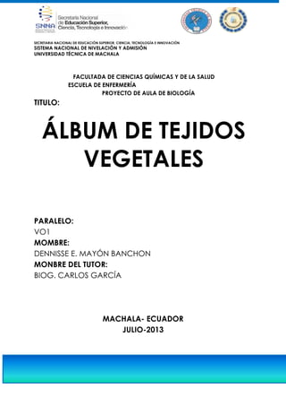 SECRETARIA NACIONAL DE EDUCACIÓN SUPERIOR, CIENCIA, TECNOLOGÍA E INNOVACIÓN
SISTEMA NACIONAL DE NIVELACIÓN Y ADMISIÓN
UNIVERSIDAD TÉCNICA DE MACHALA
FACULTADA DE CIENCIAS QUÍMICAS Y DE LA SALUD
ESCUELA DE ENFERMERÍA
PROYECTO DE AULA DE BIOLOGÍA
TITULO:
PARALELO:
VO1
MOMBRE:
DENNISSE E. MAYÓN BANCHON
MONBRE DEL TUTOR:
BIOG. CARLOS GARCÍA
MACHALA- ECUADOR
JULIO-2013
ÁLBUM DE TEJIDOS
VEGETALES
 