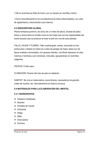 Proyecto de aula Página 16
• Útil en anemias por falta de hierro, por su riqueza en clorofila y hierro.
• Como reconstituyente en la convalecencia de otras enfermedades y en caso
de agotamiento o desnutrición.(uso interno)
4.3.5DESCRIPCIÓN GLOBAL
Planta herbácea perenne, de cerca de un metro de altura, erizada de pelos
tiesos y recios tanto en el tallo como en las hojas que son los responsables del
fuerte escozor que se produce al rozar la piel con una de esas plantas.
TALLO, HOJAS Y FLORES: Tallo cuadrangular, erecto, ahuecado en los
entrenudos y dotado en todos los nudos de parejas de hojas; éstas son de
figura ovalada o lanceolada, con gruesos dientes. Las flores aparecen en pies
machos o hembras y son verdosas, menudas, agrupándose en racimillos
colgantes.
FRUTOS: Frutito seco.
FLORACIÓN: Florece del mes de julio en adelante.
HABITAT: Se cría en estercoleros, escombreras, reposaderos de ganado,
orillas de huertos, etc. Abundantísima en toda la comarca
5.4 MATERIALES PARA LA ELABORACION DEL MENTOL.
5.4.1 INGREDIENTES.
 Vaselina cristalizada
 Alcanfor
 Cristales de mentol
 Colorante
 Ortiga
 Ollas
 Chancadora
 Cuchara
 