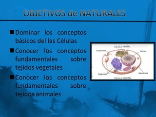 Dominar los conceptos
 básicos del las Células
Conocer los conceptos
 fundamentales        sobre
 tejidos vegetales
Conocer los conceptos
 fundamentales        sobre
 tejidos animales
 
