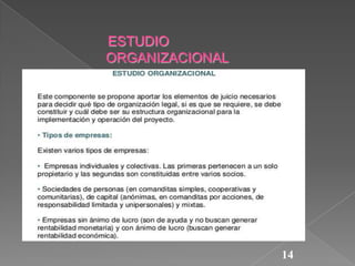 ESTUDIO
ORGANIZACIONAL

14

 
