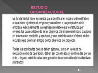 ESTUDIO
ORGANIZACIONAL

15

 