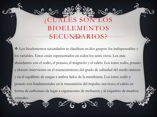 ¿CUÁLES SON LOS
BIOELEMENTOS
SECUNDARIOS ?
 Los bioelementos secundarios se clasifican en dos grupos: los indispensables y
los variables. Estos están representados en todos los seres vivos. Los más
abundantes son el sodio, el potasio, el magnesio y el calcio. Los iones sodio, potasio
y cloruro intervienen en el mantenimiento del grado de salinidad del medio interno
y en el equilibrio de cargas a ambos lados de la membrana. Los iones sodio y
potasio son fundamentales en la transmisión del impulso nervioso; el calcio en
forma de carbonato da lugar a caparazones de moluscos y al esqueleto de muchos
animales.

 