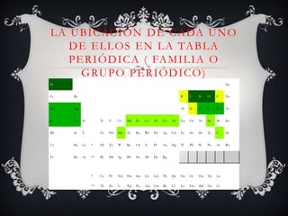 L A U B I C AC I Ó N D E C A DA U N O
D E E L L O S E N L A TA B L A
P E R I Ó D I C A ( FA M I L I A O
G RU P O P E R I Ó D I C O )
H

He

Li

Be

B

C

N

O

F

Ne

Na

Mg

Al

Si

P

S

Cl

Ar

K

Ca

Sc

Ti

V

Cr

Mn

Fe

Co

Ni

Cu

Zn

Ga

Ge

As

Se

Br

Kr

Rb

Sr

Y

Zr

Nb

Mo

Tc

Ru

Rh

Pd

Ag

Cd

In

Sn

Sb

Te

I

Xe

Cs

Ba

La

*

Hf

Ta

W

Re

Os

Ir

Pt

Au

Hg

Tl

Pb

Bi

Po

At

Rn

Fr

Ra

Ac

**

Rf

Db

Sg

Bh

Hs

Mt

Ds

Rg

*

Ce

Pr

Nd

Pm

Sm

Eu

Gd

Tb

Dy

Ho

Er

Tm

Yb

Lu

**

Th

Pa

U

Np

Pu

Am

Cm

Bk

Cf

Es

Fm

Md

No

Lr

 