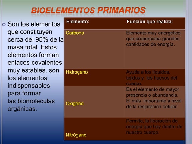 Bioelementos en el cuerpo humano | PPTX