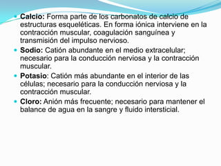 Calcio: Forma parte de los carbonatos de calcio de

estructuras esqueléticas. En forma iónica interviene en la
contracción muscular, coagulación sanguínea y
transmisión del impulso nervioso.
 Sodio: Catión abundante en el medio extracelular;
necesario para la conducción nerviosa y la contracción
muscular.
 Potasio: Catión más abundante en el interior de las
células; necesario para la conducción nerviosa y la
contracción muscular.
 Cloro: Anión más frecuente; necesario para mantener el
balance de agua en la sangre y fluido intersticial.

 