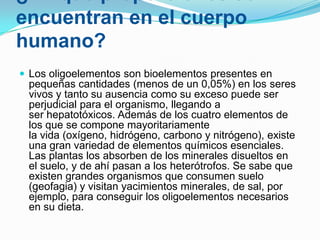 encuentran en el cuerpo
humano?
 Los oligoelementos son bioelementos presentes en

pequeñas cantidades (menos de un 0,05%) en los seres
vivos y tanto su ausencia como su exceso puede ser
perjudicial para el organismo, llegando a
ser hepatotóxicos. Además de los cuatro elementos de
los que se compone mayoritariamente
la vida (oxígeno, hidrógeno, carbono y nitrógeno), existe
una gran variedad de elementos químicos esenciales.
Las plantas los absorben de los minerales disueltos en
el suelo, y de ahí pasan a los heterótrofos. Se sabe que
existen grandes organismos que consumen suelo
(geofagia) y visitan yacimientos minerales, de sal, por
ejemplo, para conseguir los oligoelementos necesarios
en su dieta.

 