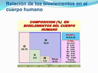 Relación de los bioelementos en el
cuerpo humano

 