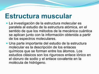 Estructura muscular
 La investigación de la estructura molecular es

paralela al estudio de la estructura atómica, en el
sentido de que los métodos de la mecánica cuántica
se aplican junto con la información obtenida a partir
de los espectros moleculares.
 Una parte importante del estudio de la estructura
molecular es la descripción de los enlaces
químicos que se forman entre los átomos. Los
estudios clásicos son los rigurosos enlace iónico en
el cloruro de sodio y el enlace covalente en la
molécula de hidrógeno.

 