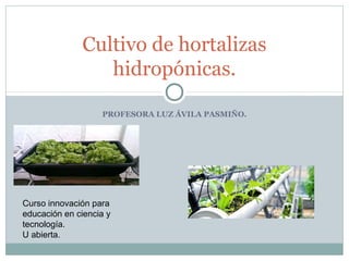 PROFESORA LUZ ÁVILA PASMIÑO.
Cultivo de hortalizas
hidropónicas.
Curso innovación para
educación en ciencia y
tecnología.
U abierta.
 