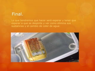 Final.
Lo que tendremos que hacer será esperar y tener que
esperar a que se despinte y ver como elimina sus
sustancias y el cambio de color de agua:
 